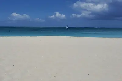 Image de Beach Monkeys Retreat! “Newly Renovated\"