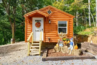 Image de Cozy Cabin in Cosby, Tn 1 King Bed / 2 Queen Bunk Beds