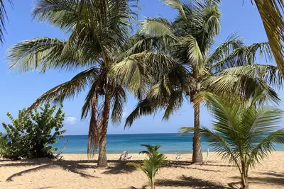 Image de Coco-mango Apt. C vue sur mer Ă 250 m de la Plage de la Perle