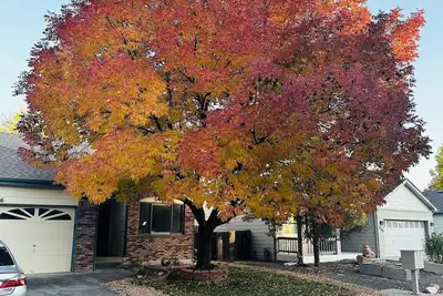 Image de Large basement apartment 1500sq ft, private living room, bathroom & kitchenette