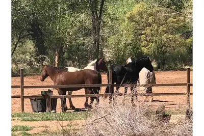 Image de Life is good on the farm