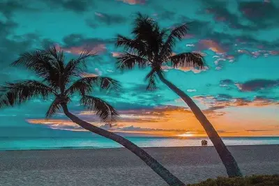 Image de Penthouse 2bd 2ba Remodeled Beachfront Condo