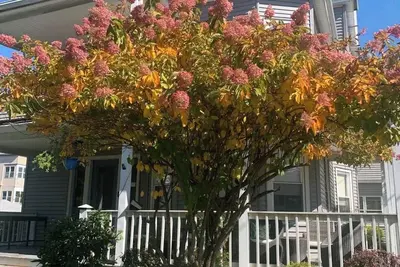 Image de Bright and cozy 3 bedroom apartment in Chicopee with Ac, WiFi. Enjoy your stay