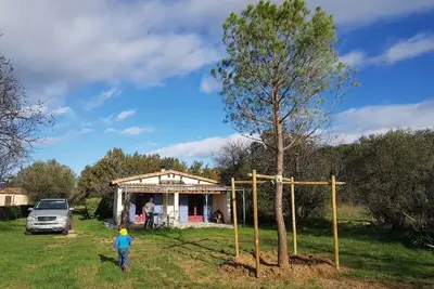 Image de Cabanon provençal au milieu des oliviers à Fontvieille