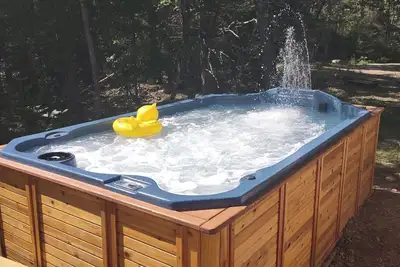 Image de River Rental New Log Cabin-Pool Spa On The Paint River-Dock-Canoes Fish Golf Orv