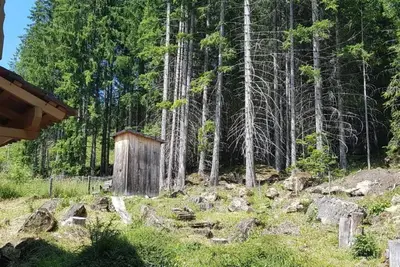 Image de Appartement de vacances Sörenberg pour 1 - 4 personnes avec 2 chambres à coucher - Appartement de va