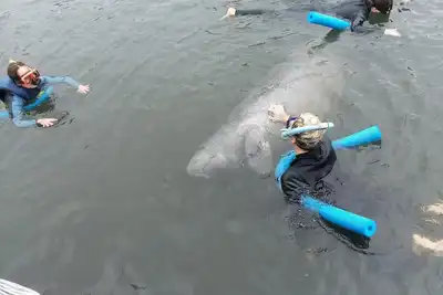 Image de Serene setting with private dock on lake
