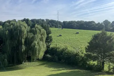 Image de Spacious 4 bd with hot tub, theater &game zone