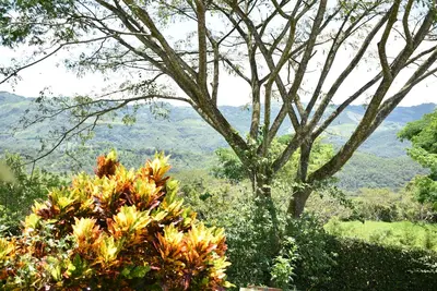 Image de Country House Villa del Lago