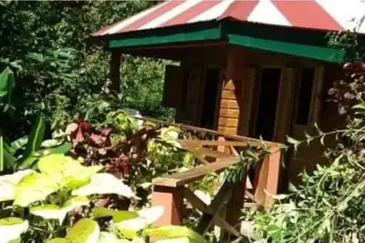 Image de Berkey's Jungle Paradise