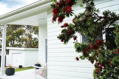 Image de Bendy Beach House allows a pet.