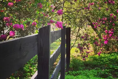 Image de Romantic Country Living Experience