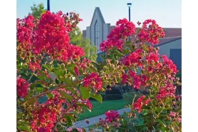 Image de Hospitality House walking distance to Hospital and shopping