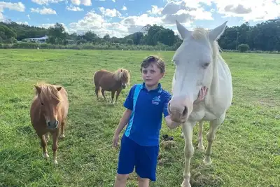 Image de Lime Lodge Farmstay-Families-Horse Riders-Nature