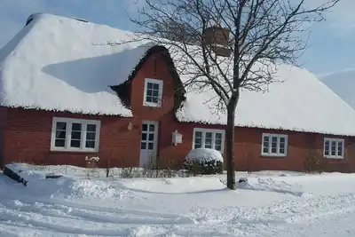 Image de Living under a thatched roof, beautiful granny apartment near the North Sea