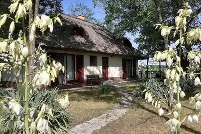 Image de 2 maisons en pleine nature et piscine privée