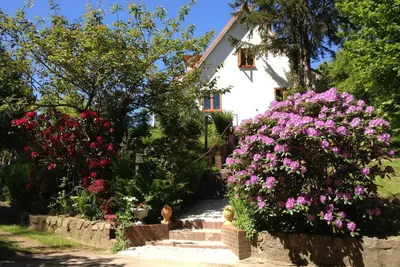 Image de Hale Aloha Woodstove paradise garden 7person house. Naturepark vacation with dog