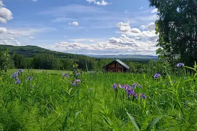 Image de Secluded Log Cabin, 30 min from Chena Hot Springs