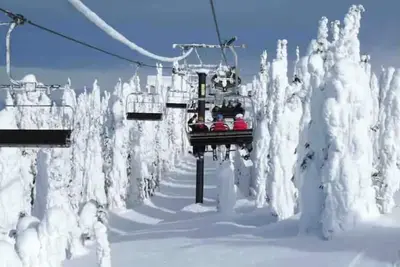 Image de Lovely 1 bedroom Downtown Loft with free parking