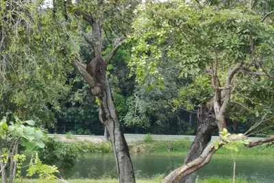 Image de Beach House