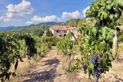 Image de Cascina Marenco Langhe Country House Dolcetto | with pool, garden, view, wi-fi