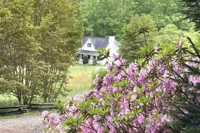 Image de Quiet retreat minutes from breweries, hiking, and Biltmore