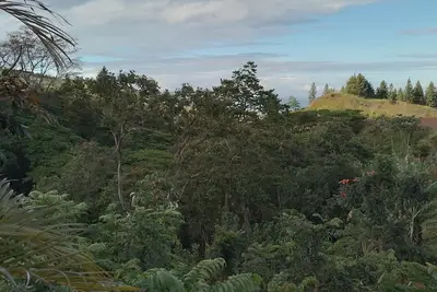 Image de Logement neuf au milieu de la nature, très paisible!
