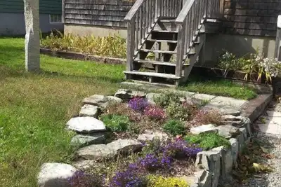 Image de Big Dragonfly - cozy and quaint in the village of Bar Harbor