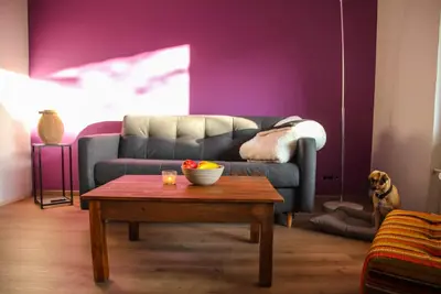 Vacation apartment in the southern Harz - Bad Sachsa - for families and dog owners
