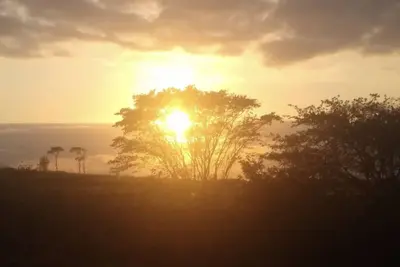 Image de Sunflower Corner