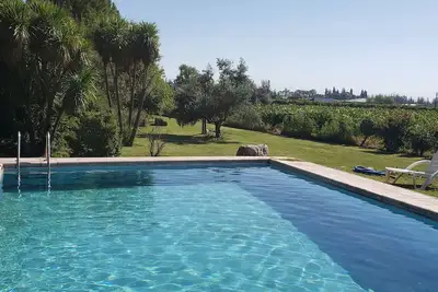 Image de Scenic 3 Bedroom House with Pool in a 50 Acres Vineyard