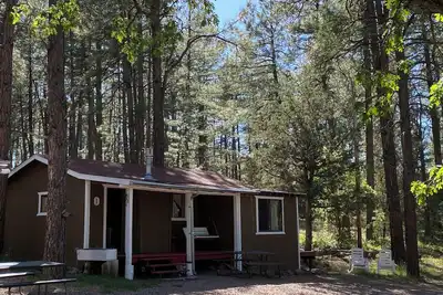 Image de Newly updated! Indoor Jacuzzi & Fireplace in xtra room with kid cot; porch swing