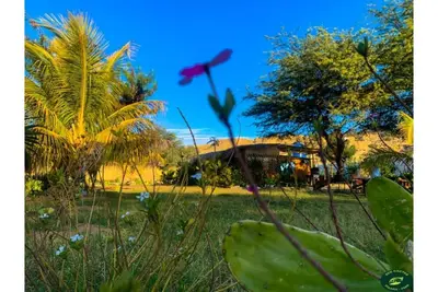 Image de Ecolodge Cactus