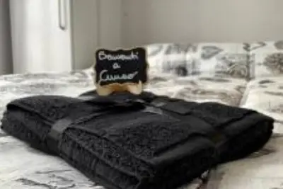 Image de Appartement Lumineux Au Centre - L'Appartement Restauration