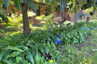 Image de Ping Willows Guesthouse: Spacious Accommodation in the Perth Hills