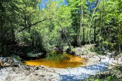 Image de Relaxing, vacation! for 1 or 11 w/fire pit on the river!