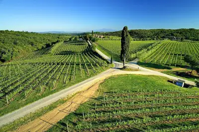 Image de Casa Rossella - ArcenoRentalsClub Romantic flat in Chianti Wifi Concierge Pool
