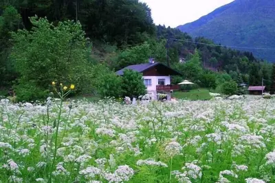 Image de Civettini House 100 mt from the lake