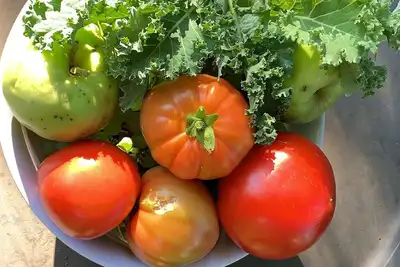 Image de Fully furnished home. Your cozy home away from home🫶🏼