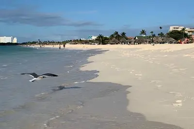 Image de 5min walk to second best beach in the world rated by the plantd 2023 Eagle beach