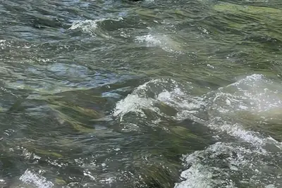 Image de Serenity  at Hemptown Creek <br>New Listing<br>