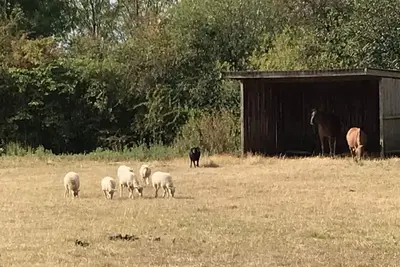 Image de Romantic castle in Normandy close to Perche area