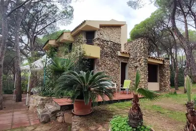 Image de Villa Giancarla immersed in the pine forest a stone's throw from the sea
