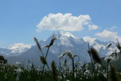 Family-friendly Ortler vacation apartment.
