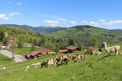 Image de Chalet familial à La Bresse, proche randonnées, Wifi, animaux admis