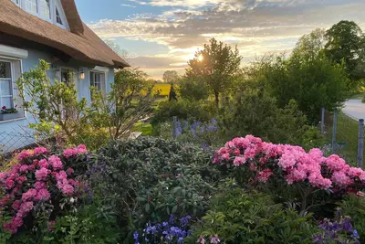 Image de Reethaus Vilmnitz - Ferienwohnung \"goor\"