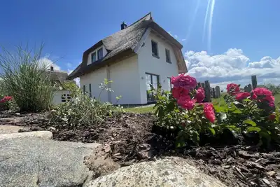 Image de Ferienhaus \"rugard\" mit Panoramasauna und Boddenblick