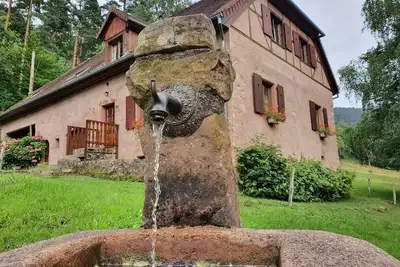 Image de Ferme en grès rose de 1880 au cœur de l'Alsace et de la nature