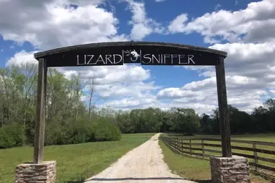 Image de Horses! Mile of trails to bike, hike, and trailride! Fishing! Swimming!