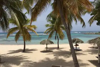 Image de Anse des rochers, très joli studio \"Bamboo\" à 30 mètres de la plage.